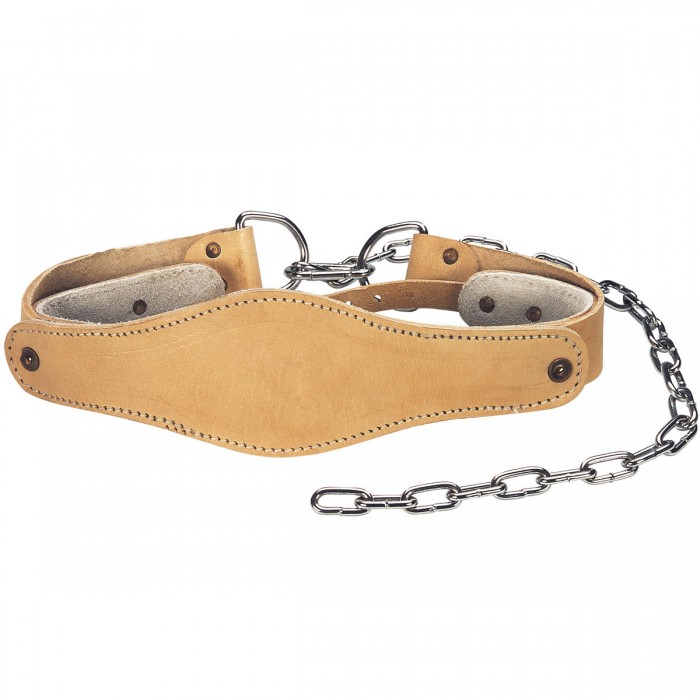 Head Harness Head Harness
